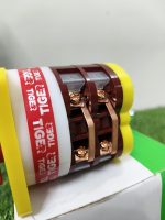 Tiger Changer Over - Image 2